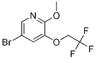 Structure of 5-broMo-2-Methoxy-3-(2,2,2-trifluoroethoxy)pyridine