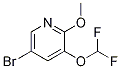 Structure of 5-broMo-3-(difluoroMethoxy)-2-Methoxypyridine