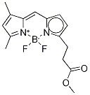 Structure of 3-Bodipy-propanoic Acid Methyl Ester