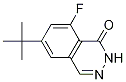 Structure of 6-(tert-Butyl)-8-fluorophthalazin-1(2H)-one