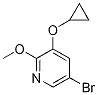 Structure of 5-broMo-3-cyclopropoxy-2-Methoxypyridine
