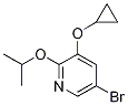 5-broMo-3-cyclopropoxy-2-isopropoxypyridine结构式