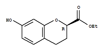 2H-1-BENZOPYRAN-2-CARBOXYLIC ACID, 3,4-DIHYDRO-7-HYDROXY-, ETHYL ESTER结构式
