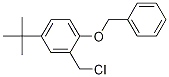 Structure of Benzene, 2-(chloroMethyl)-4-(1,1-diMethylethyl)-1-(phenylMethoxy)-