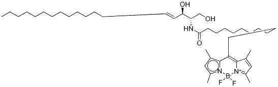 Structure of BODIPY C12-CERAMIDE