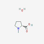 Structure of N-methyl-D-proline monohydrate