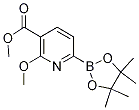 2-甲氧基-6-(4,4,5,5-四甲基-1,3,2-二噁硼烷-2-基)烟酸甲酯结构式