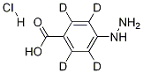 Structure of 4-Hydrazinobenzoic Acid-d4 Hydrochloride