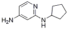 Structure of N2-cyclopentylpyridine-2,4-diamine