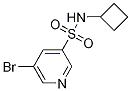 Structure of 5-broMo-N-cyclobutylpyridine-3-sulfonaMide