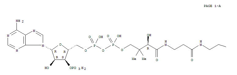 Structure of 2-tolylacetyl-coenzyme A