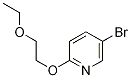 Structure of 2-(2-ethoxyethoxy)-5-broMopyridine