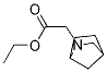 Structure of ethyl 2-(2-azabicyclo[2.2.1]heptan-2-yl)acetate