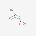 Structure of 2-methyl-2-propanyl 7-amino-2-azabicyclo[2.2.1]heptane-2-carboxyl Ate