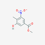 Cas Number: 125229-13-2