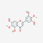 Structure of 3',5,5',7-Tetrahydroxy-4',6-dimethoxyflavone