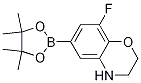 8-Fluoro-6-(4,4,5,5-tetramethyl-1,3,2-dioxaborolan-2-yl)-3,4-dihydro-2h-benzo[b][1,4]oxazine结构式