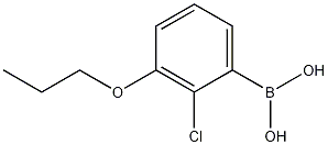 Structure of 2-Chloro-3-propoxyphenylboronic acid
