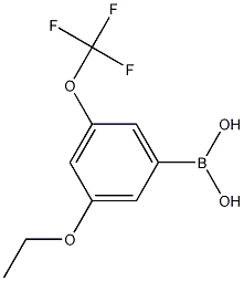 3-Ethoxy-5-(trifluoromethoxy)phenylboronic acid结构式