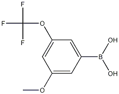 Structure of 3-Methoxy-5-(trifluoromethoxy)phenylboronic acid