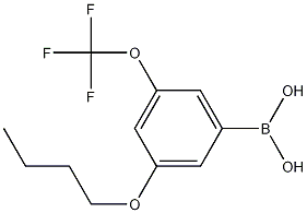 Structure of 3-Butoxy-5-(trifluoromethoxy)phenylboronic acid