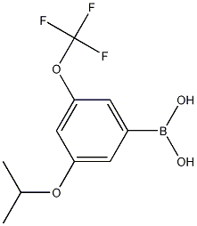Structure of 3-Isopropoxy-5-(trifluoromethoxy)phenylboronic acid
