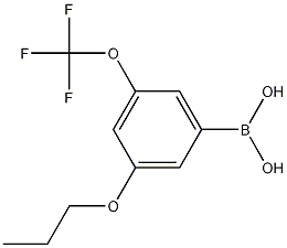 Structure of 3-Propoxy-5-(trifluoromethoxy)phenylboronic acid