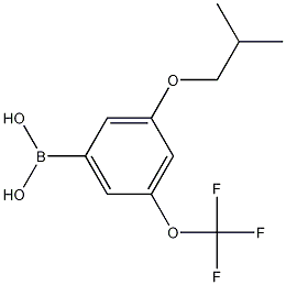 3-异丁氧基-5-(三氟甲氧基)苯硼酸结构式