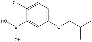Chemical structure of 2-Chloro-5-isobutoxyphenylboronic acid
