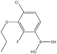 Structure of 4-Chloro-2-fluoro-3-propoxyphenylboronic acid