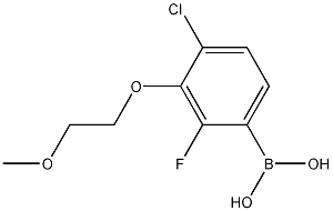 Chemical structure of 4-Chloro-2-fluoro-3-(2-methoxyethoxy)phenylboronic acid