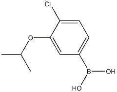 Cas Number: 1256346-35-6
