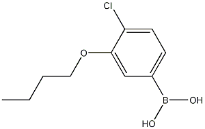 Structure of 3-Butoxy-4-chlorophenylboronic acid