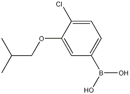 Structure of 4-Chloro-3-isobutoxyphenylboronic acid
