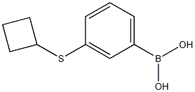 Structure of 3-(Cyclobutylsulfanyl)phenylboronic acid