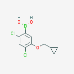 [2,4-dichloro-5-(cyclopropylmethoxy)phenyl]boronic acid结构式