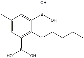 Structure of 2-Butoxy-5-methyl-1,3-phenylenediboronic acid