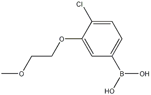 Structure of 4-Chloro-3-(2-methoxyethoxy)phenylboronic acid