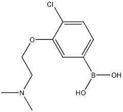 Structure of 4-Chloro-3-(2-dimethylaminoethoxy)phenylboronic acid