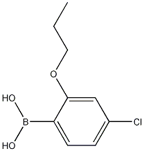 Structure of 4-Chloro-2-propoxyphenylboronic acid