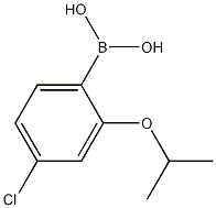 Structure of 4-Chloro-2-isopropoxyphenylboronic acid