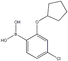 4-Chloro-2-(cyclopentyloxy)phenylboronic acid结构式