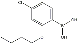 2-Butoxy-4-chlorophenylboronic acid结构式