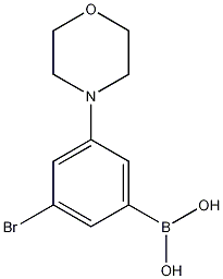 3-Bromo-5-morpholinophenylboronic acid结构式