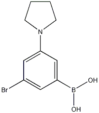 3-Bromo-5-(pyrrolidin-1-yl)phenylboronic acid结构式