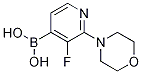 Structure of 3-Fluoro-2-morpholinopyridine-4-boronic acid