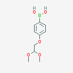 Structure of 4-(2,2-DIMETHOXYETHOXY)PHENYLBORONIC ACID