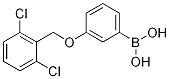 Structure of 3-(2,6-dichlorophenylMethoxy)phenylboronic acid