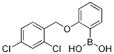 2-(2,4-dichlorophenylmethoxy)phenylboronic acid结构式