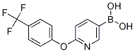 Structure of 2-(4-TrifluoroMethylphenoxy)pyridine-5-boronic acid
